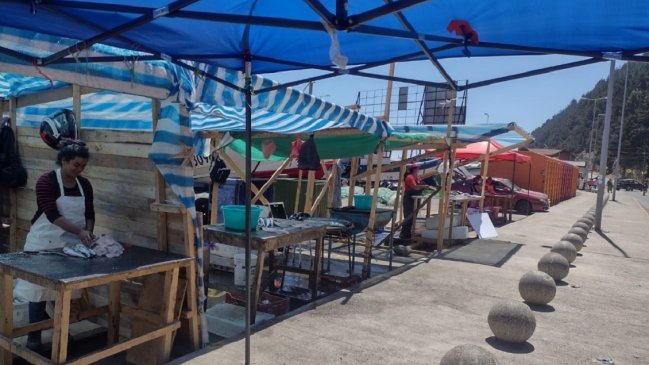 Baños exclusivos y mejores instalaciones: Pescadoras del Maule piden dignificar su trabajo