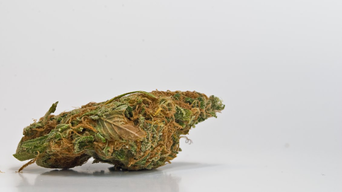 Detienen a dos sujetos por cultivo de marihuana en domicilio de Santa Cruz