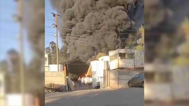 Incendio afectó a sector industrial en la comuna de San Bernardo