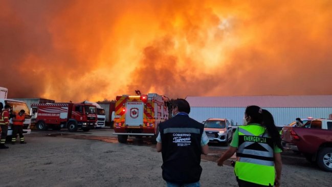 Incendio en Coelemu sigue activo y lleva 1.500 hectáreas consumidas