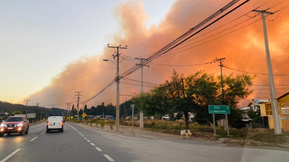Cancelan alerta roja por incendio forestal que consumió 2.400 hectáreas en Coelemu