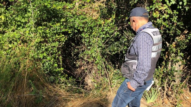 Celulosa Arauco afronta sumario por afloramiento de líquido en ducto que llega al mar