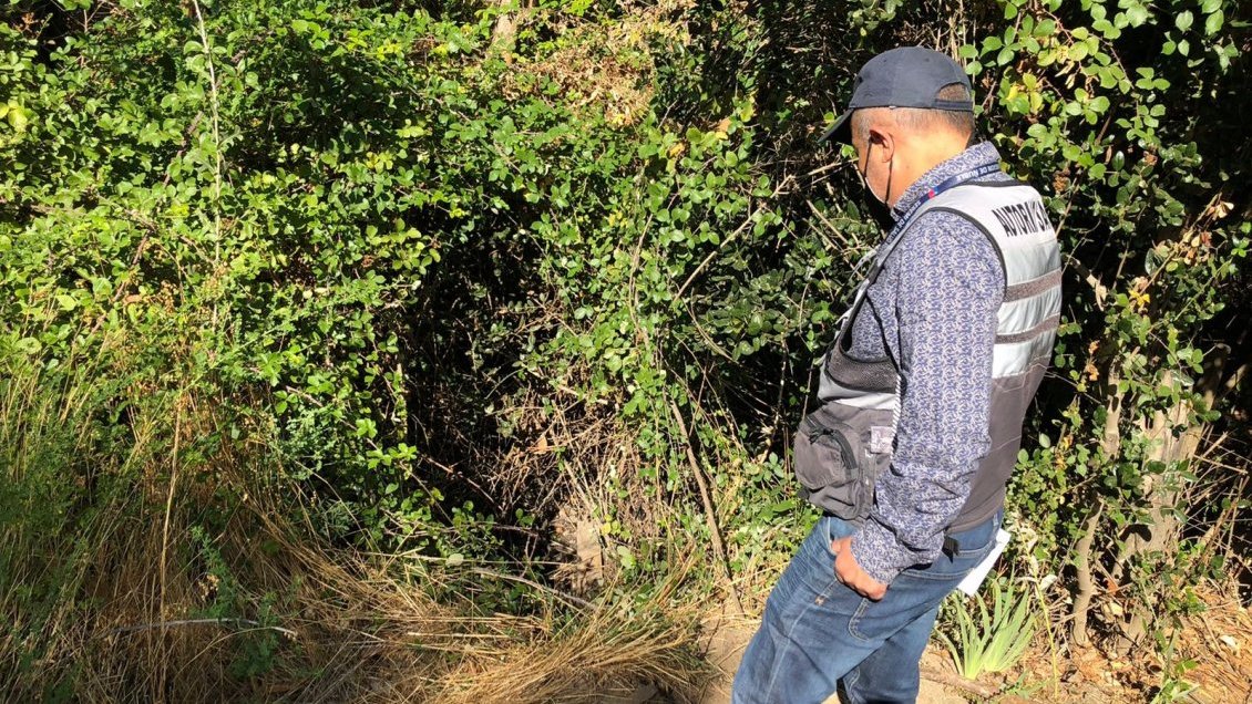 Celulosa Arauco afronta sumario por afloramiento de líquido en ducto que llega al mar