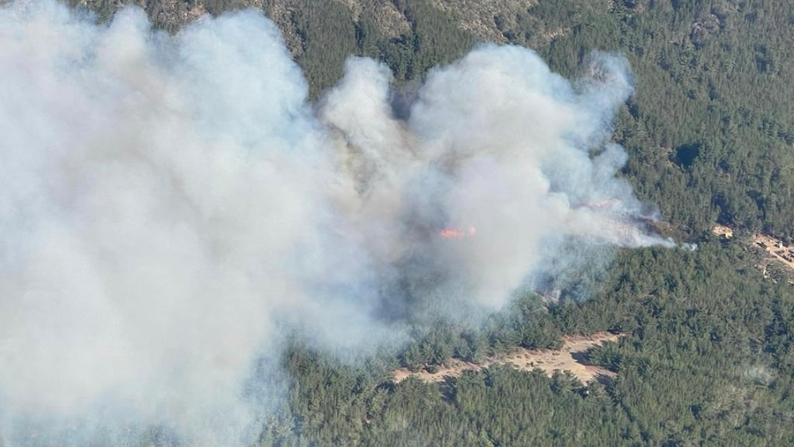 Incendio forestal en Valparaíso ya consume más de 100 hectáreas