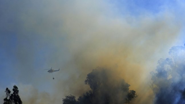 Incendio forestal afectó a tres viviendas en Angol