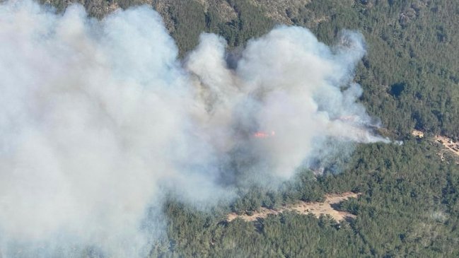 Incendio forestal en Valparaíso ya consume más de 100 hectáreas