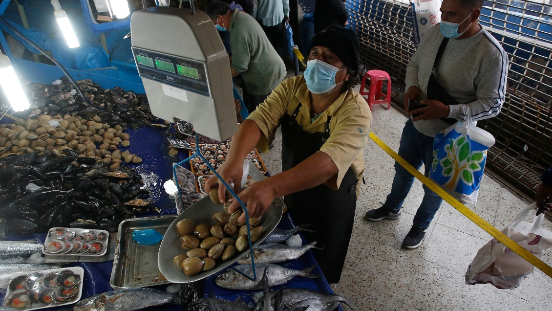Seremi levantó prohibición de extraer mariscos por marea roja en Calbuco