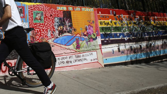 Parque San Borja: Municipalidad de Santiago niega vínculo con polémico mural