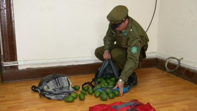 Imagen foto_00000003