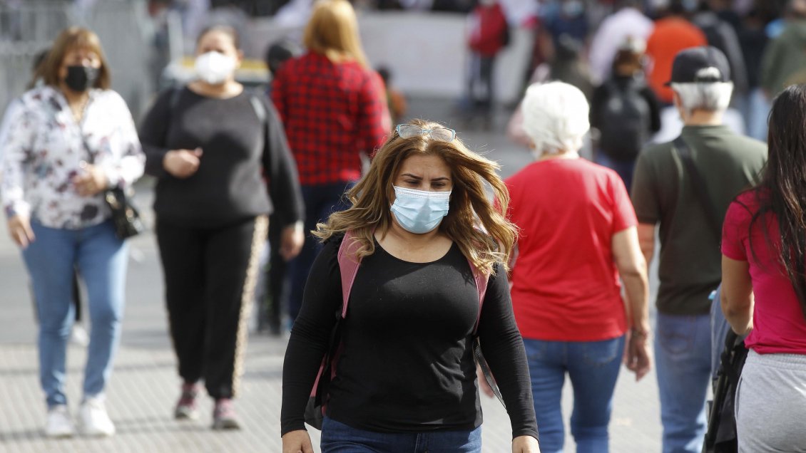 El último informe del doctor Canals: 