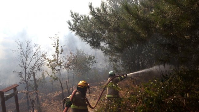 Declaran alerta roja por incendio forestal en la comuna de Constitución  