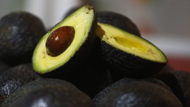 Justicia express: Ladrón de 293 kilos de paltas deberá pagar 500 mil pesos a su dueño