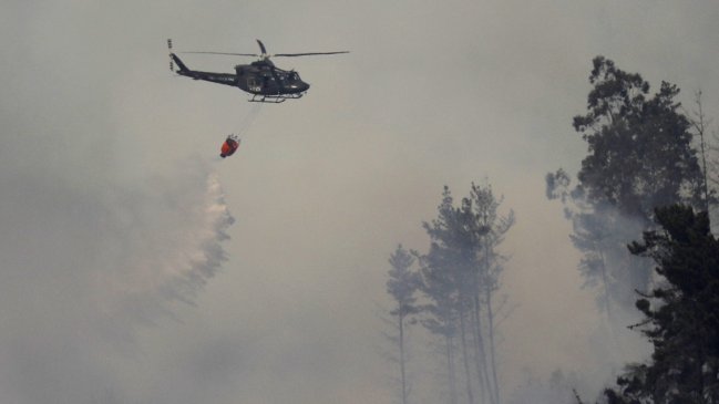  Alerta roja en Vichuquén por incendio forestal: Amenaza a viviendas y la Reserva Laguna Torca  