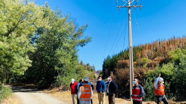 CGE reubicó línea eléctrica que alimenta a Coelemu para reducir cortes en invierno