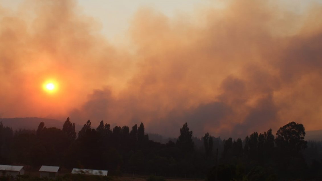 Declaran alerta temprana preventiva por amenaza de incendios forestales en Ñuble