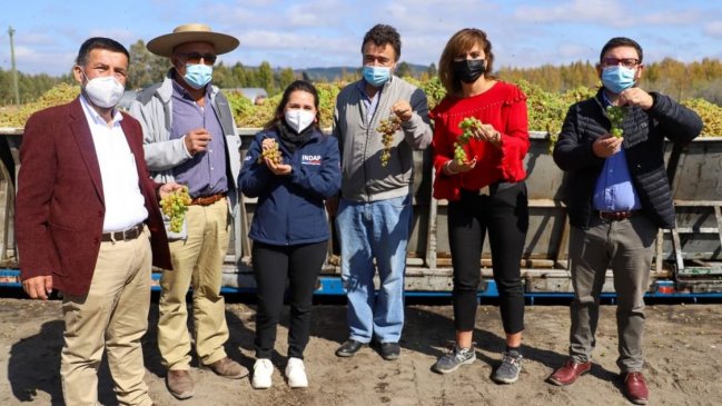 Ministro de Agricultura se reúne con viñateros de Ñuble: Productores proponen Poder Comprador Estatal