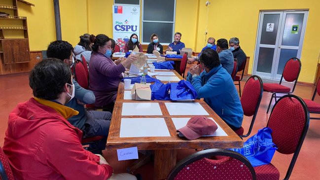 Grupo de profesionales elaboró plan para bajar niveles de inseguridad en Pucón