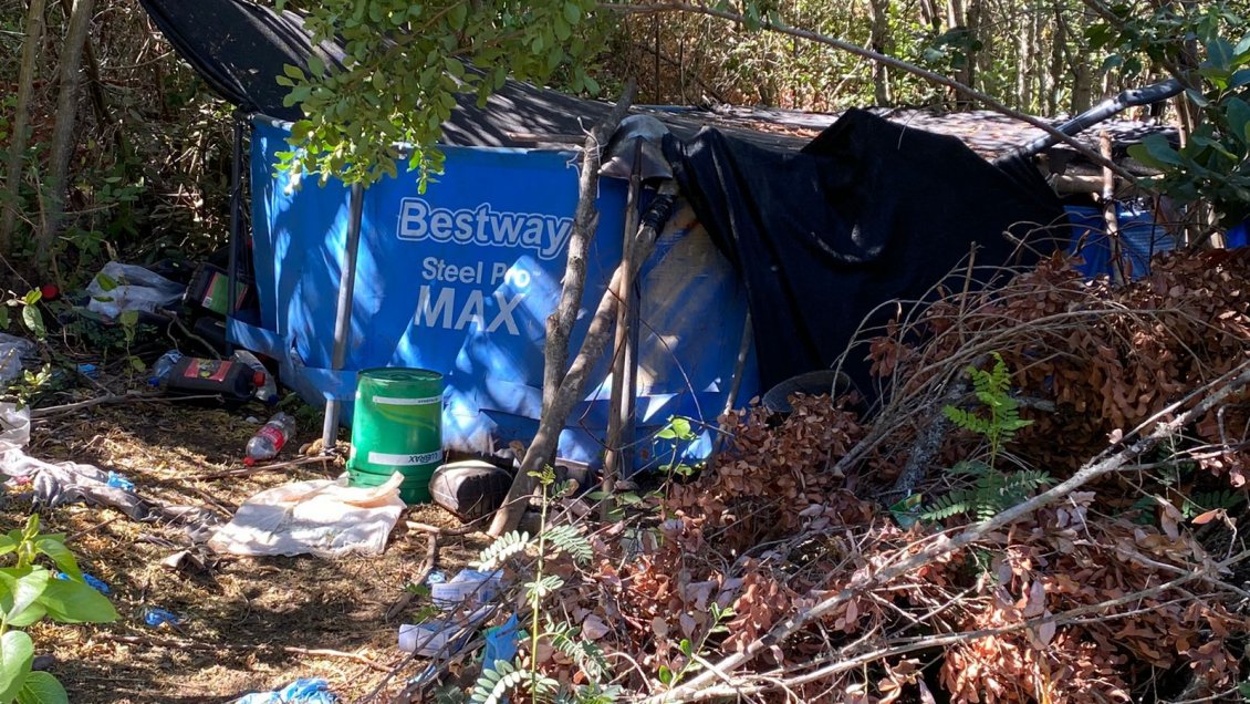 Hallan marihuana avaluada en más de cinco mil millones de pesos en San Fernando