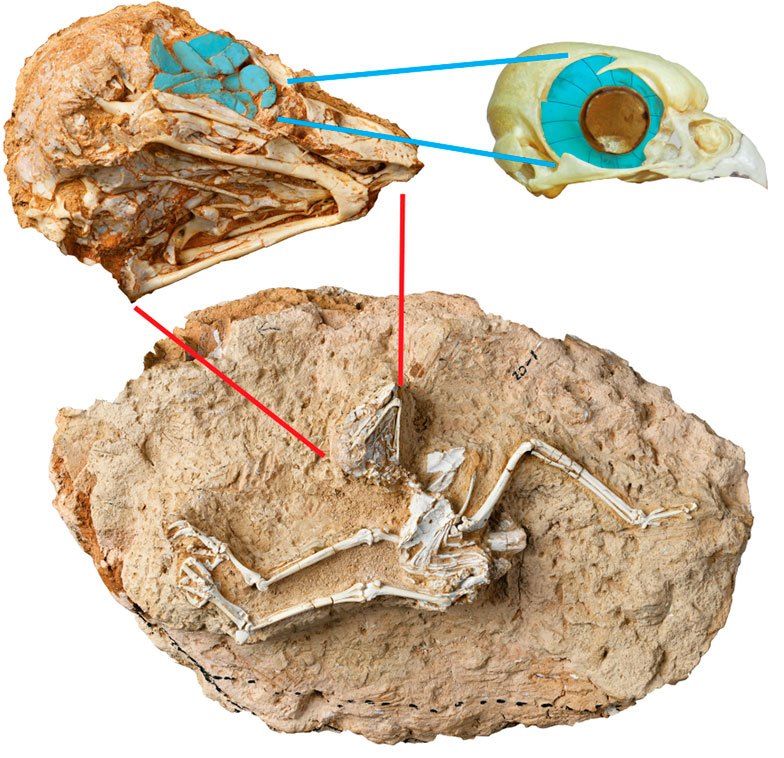 Imagen foto_00000001