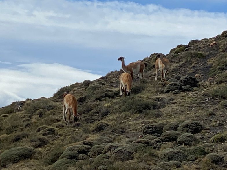 Imagen foto_00000003