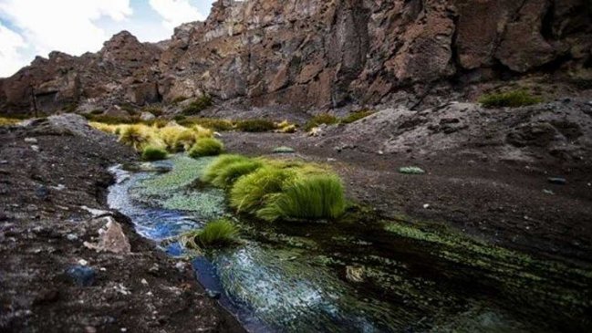 Chile protagonizó la primera jornada de alegatos por el caso Silala ante la Corte de La Haya