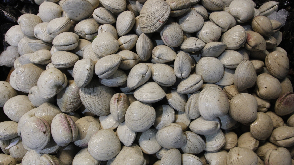 Niño de tres años murió intoxicado por consumir mariscos con marea roja en Calbuco