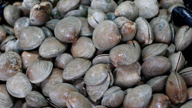 Autoridades de salud fiscalizan distribución de almejas por probable contaminación de toxina paralizante