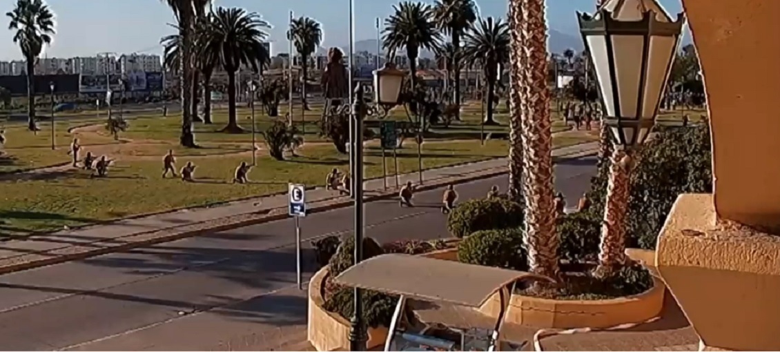 Formalizan a tres militares por obstrucción a investigación en caso por muerte de joven durante el estallido