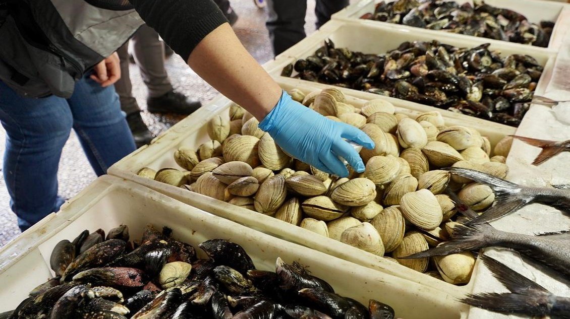Ñuble: Instalan barrera sanitaria para evitar ingreso de pescados y mariscos contaminados