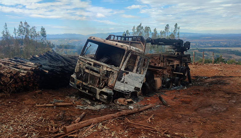 Imagen foto_00000001