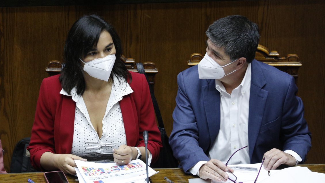 Siches defiende ante el Senado la actitud del Gobierno en la Macrozona Sur: 