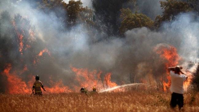   Alerta roja en Monte Patria por incendio forestal 