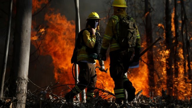  Ñuble registró tres formalizados por incendios forestales durante el verano  
