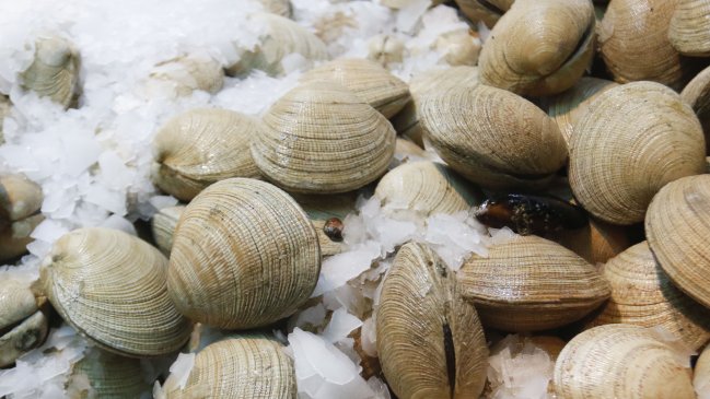Alcalde de Calbuco pidió medidas para enfrentar la venta de productos del mar contaminados