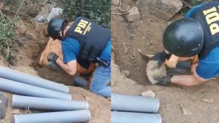   Incautan 33 kilos de droga oculta en tubos de PVC en la Región de Valparaíso 