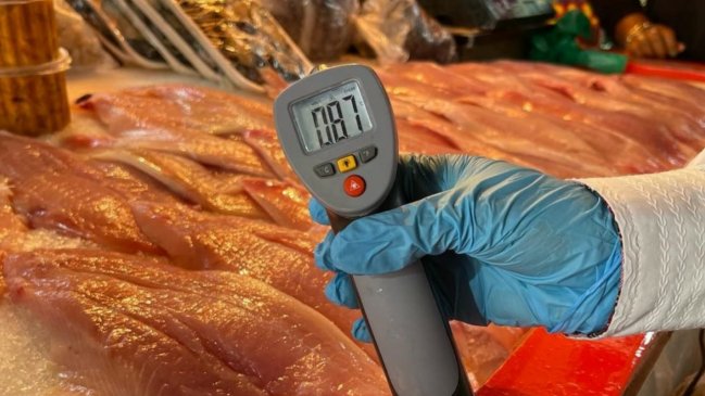 Salud cursó 37 sumarios durante fin de semana largo en Antofagasta