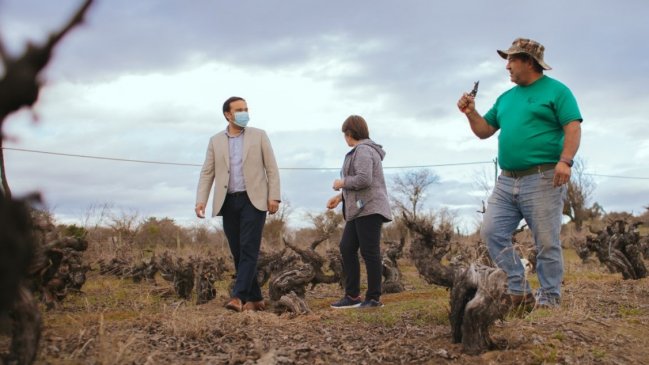 Alcaldes de Itata piden extender 