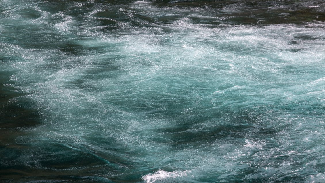 Convención aprobó que 