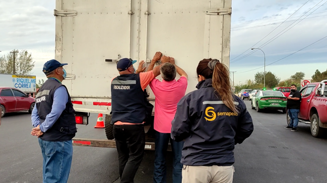 Sernapesca incautó 94 toneladas de pescados y mariscos en Semana Santa