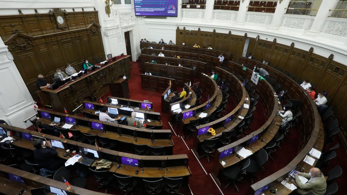 Convencional Olivares: Propuesta declara que el Estado es dueño de los minerales, no de las compañías