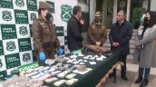   Carabineros detuvo a 20 personas en operativos antidrogas en barrios de Chillán y Chillán Viejo 