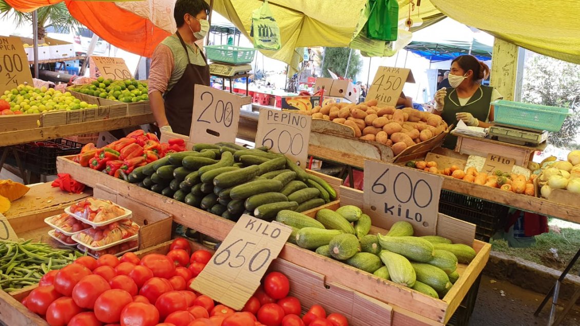 Traspasan 2.774 millones para infraestructura que albergará a feria libre en San Carlos