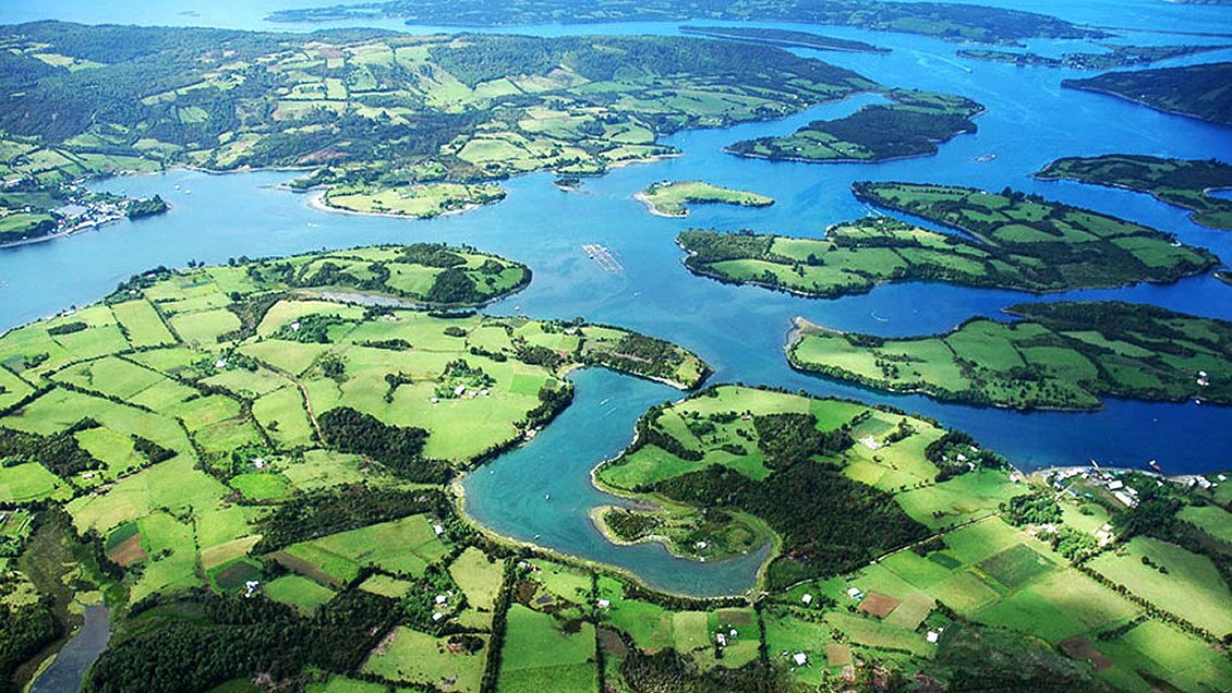 Preocupación de autoridades y vecinos por aumento de loteos de terrenos en Chiloé