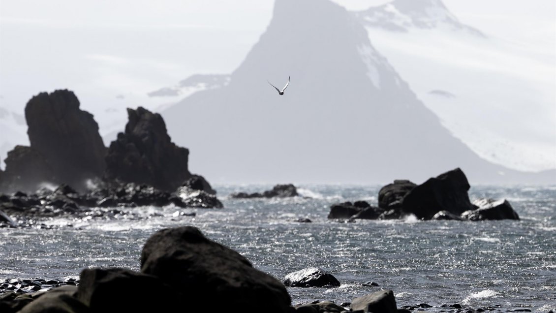 UE urge a crear en Antártica 