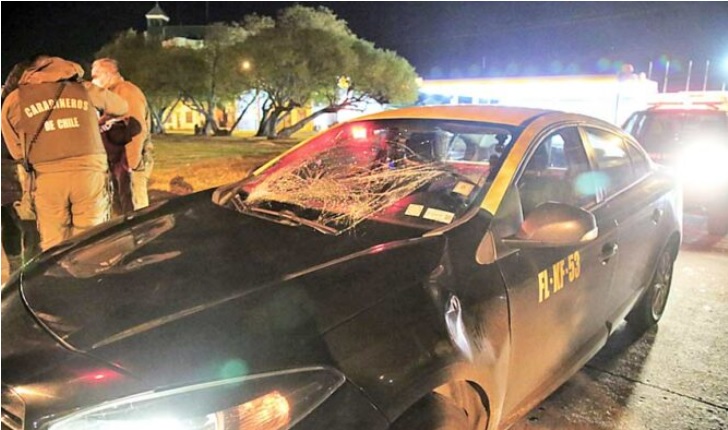 Taxista chocó contra un caballo en Punta Arenas: 