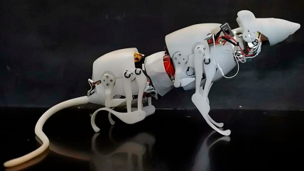   Investigadores crean rata robot para inspeccionar lugares de difícil acceso 