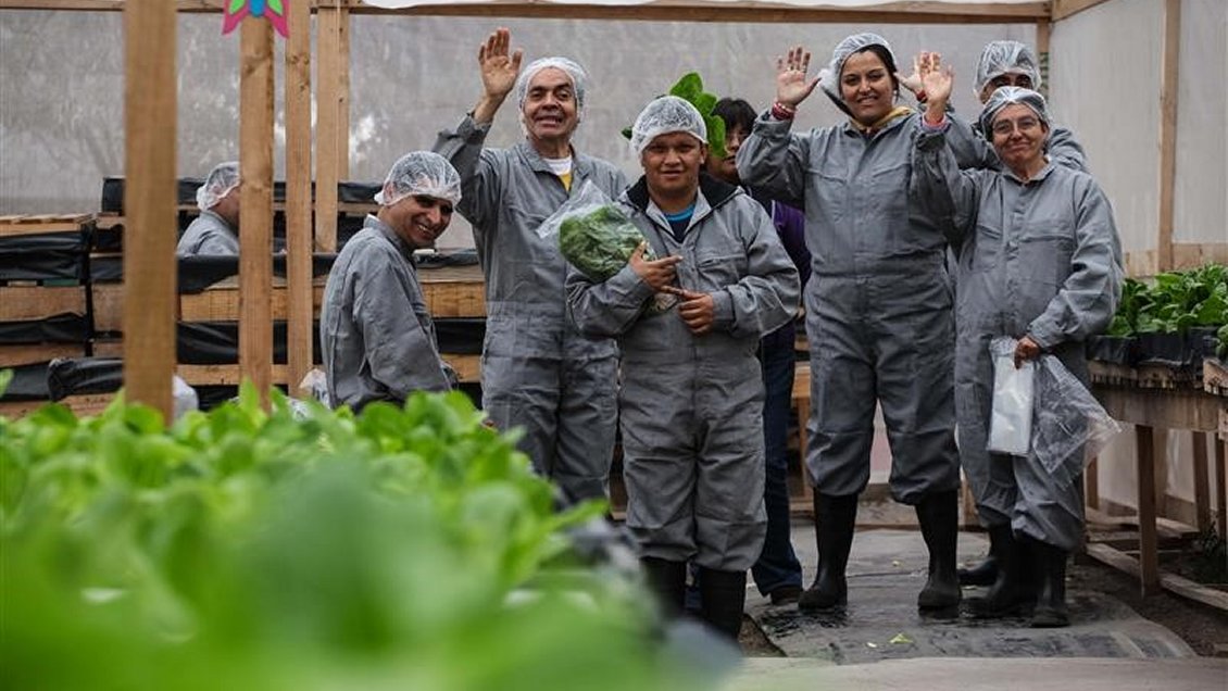 Este martes cierran postulaciones a fondo para proyectos de inclusión
