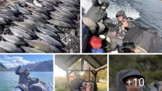  Sernapesca denunció a turistas por pesca ilegal en Tierra del Fuego  