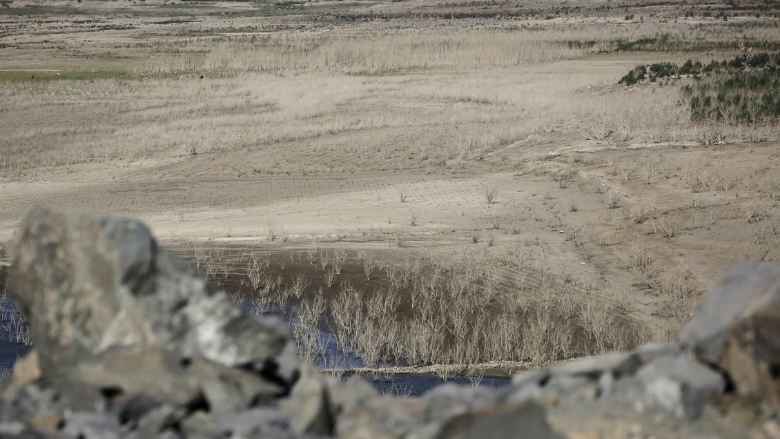 China pide cooperación mundial en combate contra la sequía y la desertificación