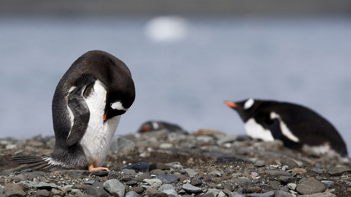 Chile alerta que el cambio climático 